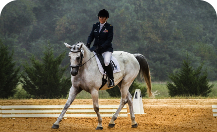 How can you keep Your Horse Happy and Fit?