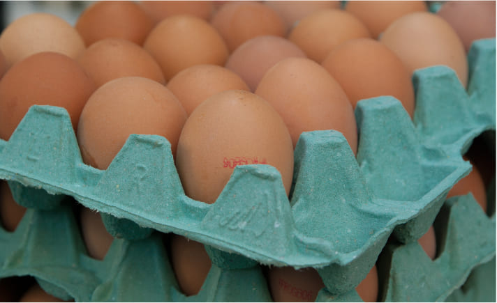 poultryfarming14
