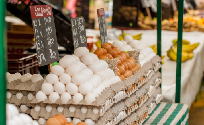 poultryfarmings20
