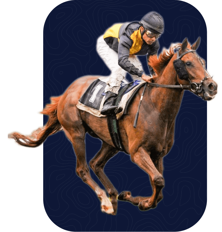 horseriding5