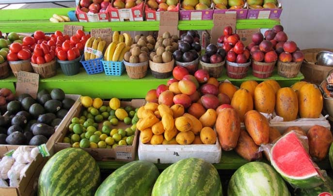 Excepteur Sint Occaecat Cupidatat