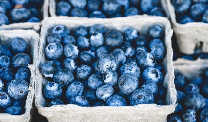 Excepteur Sint Occaecat Cupidatat